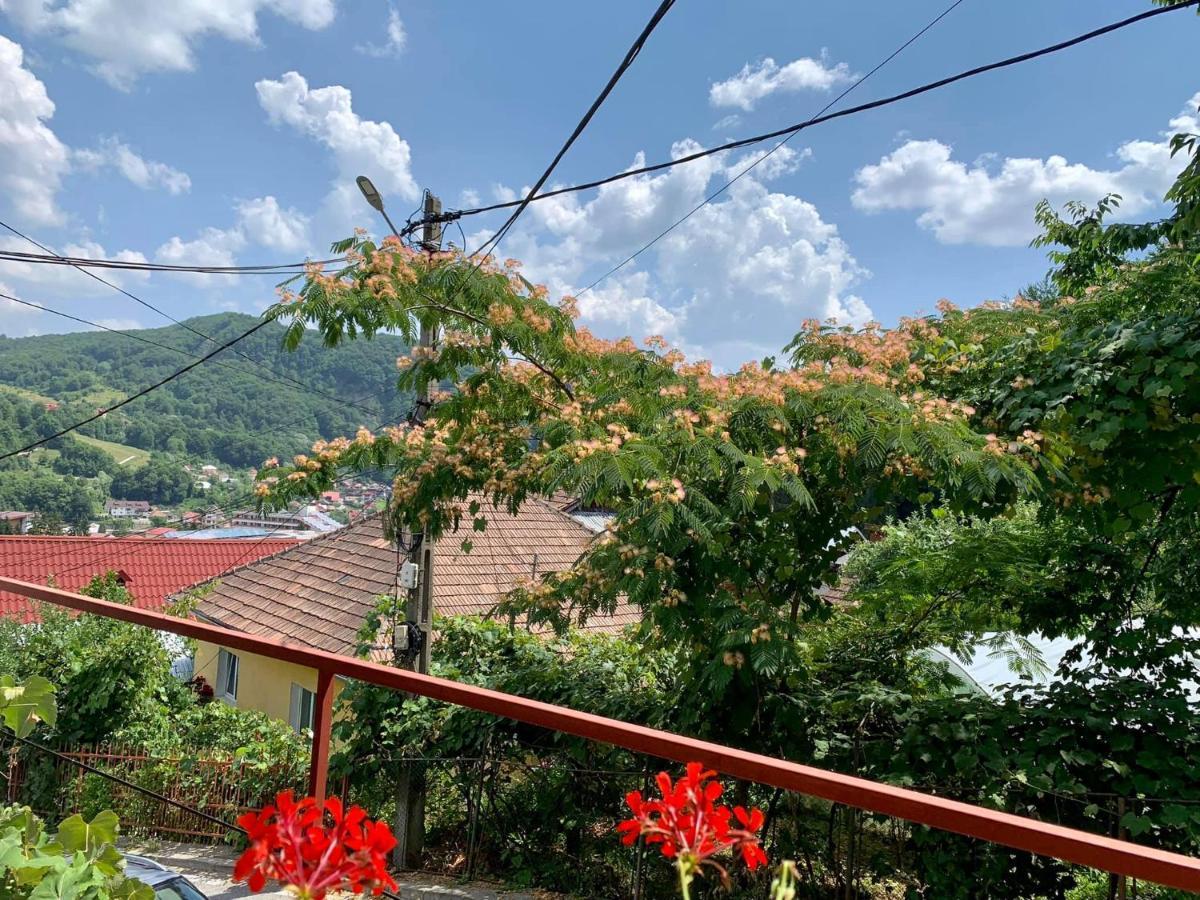 Casa Olanesti Baile Olanesti Exterior foto